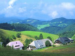 Bild Gasthaus-Pension Zhringer Hof