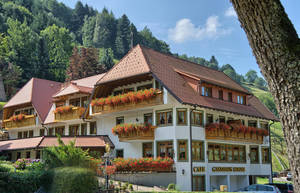 Bild Gasthaus-Pension Sonne